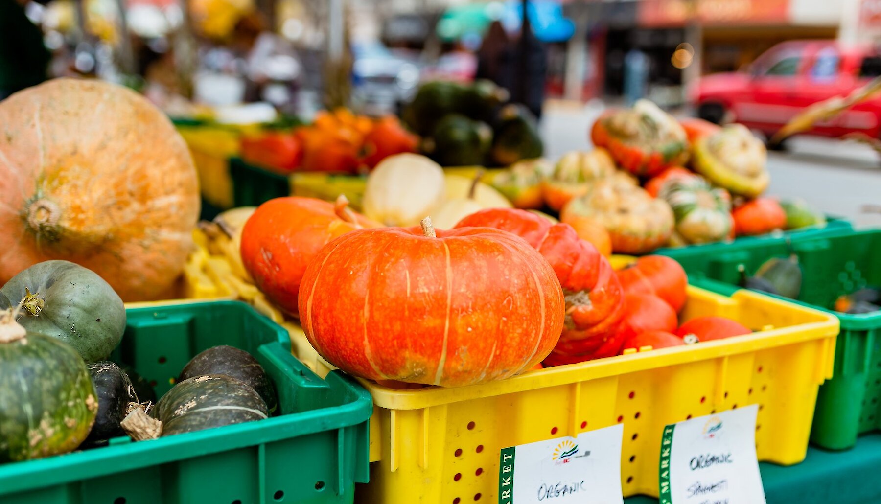 Assorted pumpkins are stacked at the farmers' market for fun fall activities.