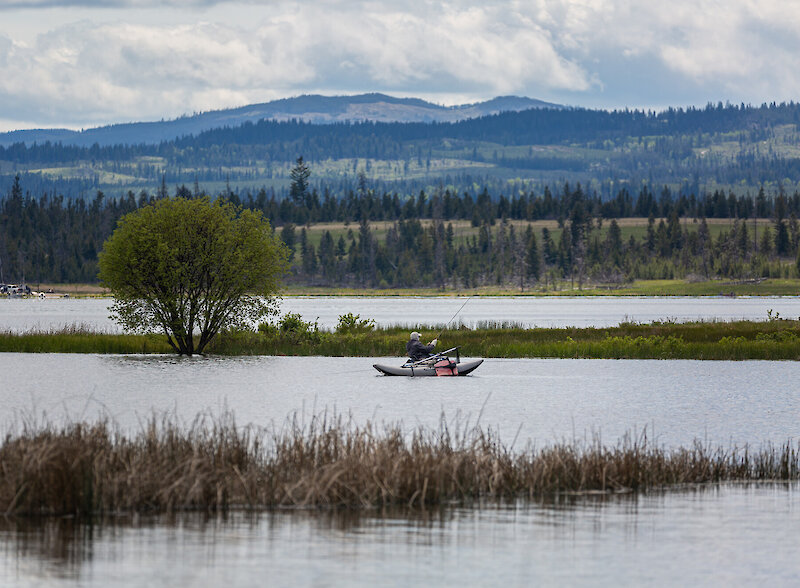 Tunkwa Lake with an angler boat fishing with a scenic mountain and treeline in the background.