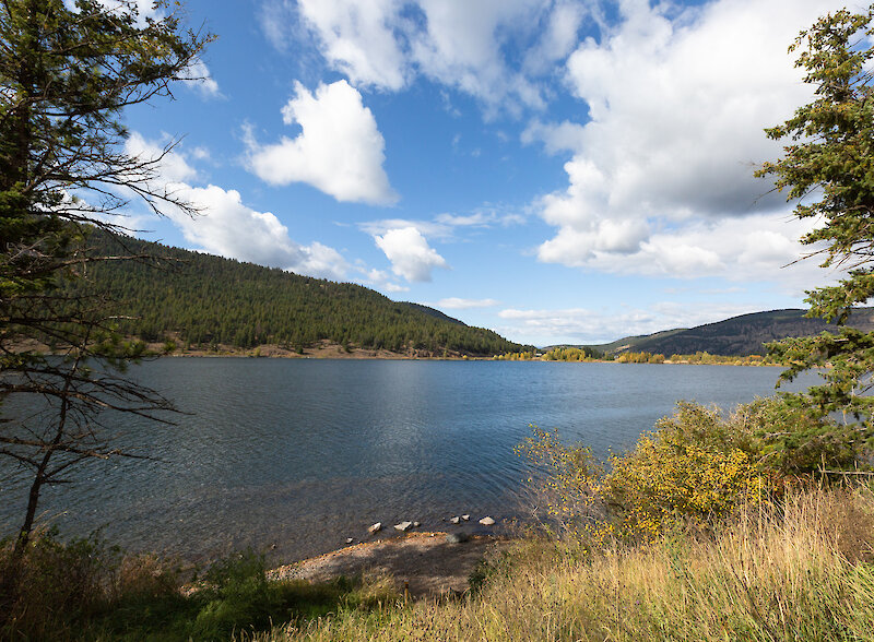 Sunny Monte Lake surrounded by forest located near Kamloops, BC.