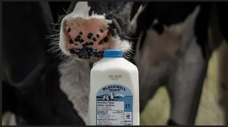 Blackwell Dairy 